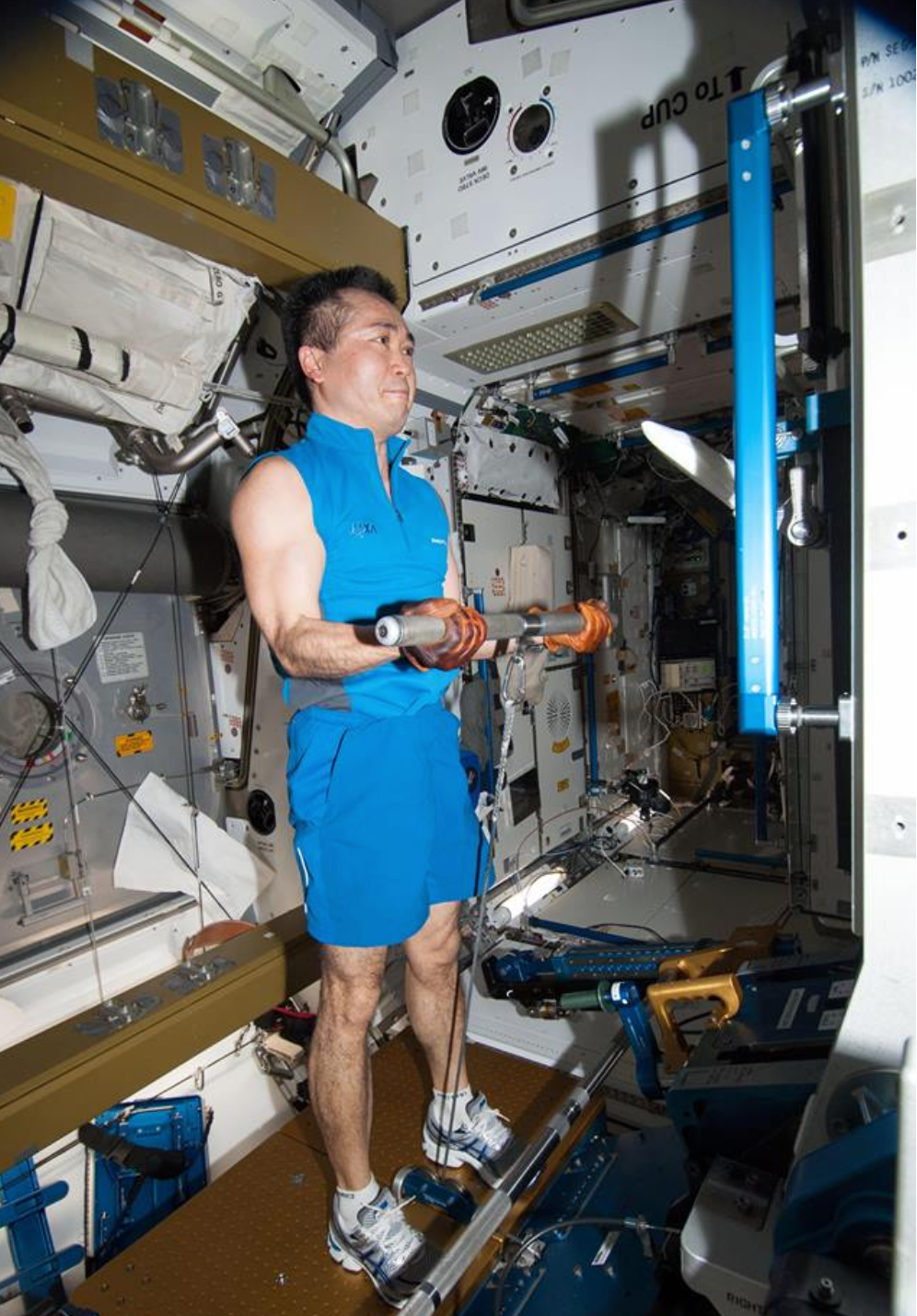 Bài tập nâng tạ giúp các phi hành gia thực hiện cái bài tập phát triển cơ ngực, cơ vai và vùng mông đùi.