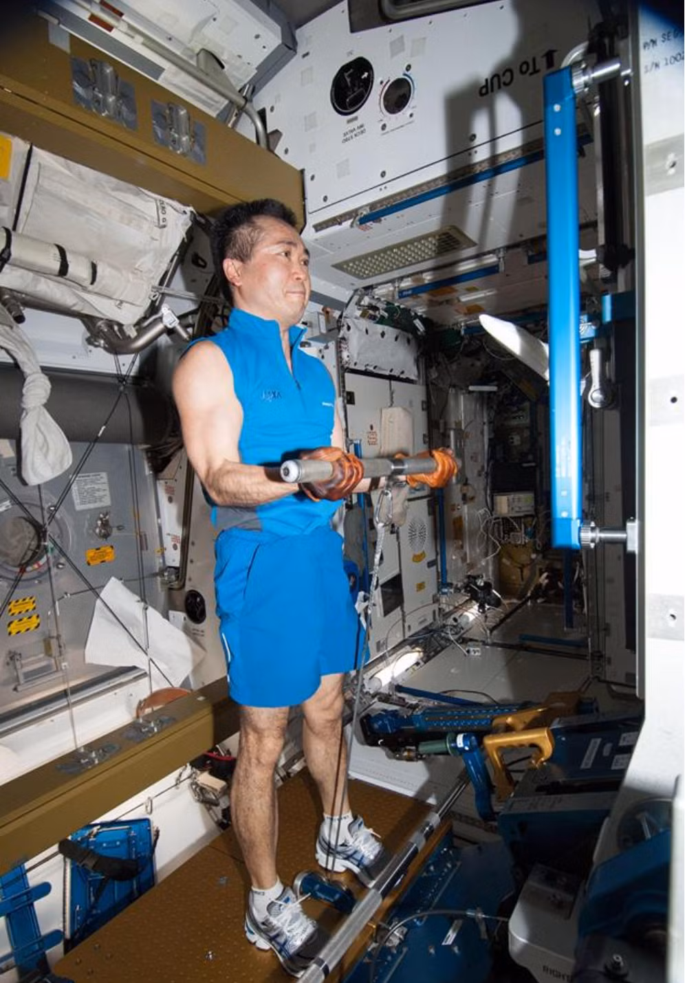 Bài tập nâng tạ giúp các phi hành gia thực hiện cái bài tập phát triển cơ ngực, cơ vai và vùng mông đùi.