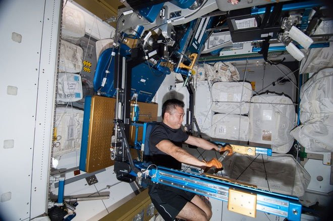 ARED đã sử dụng một xy lanh chân không để mô phỏng lại trọng lượng, giúp các phi hành gia thực hiện các bài tập tạ phát triển cơ ngực, cơ vai và vùng mông đùi.