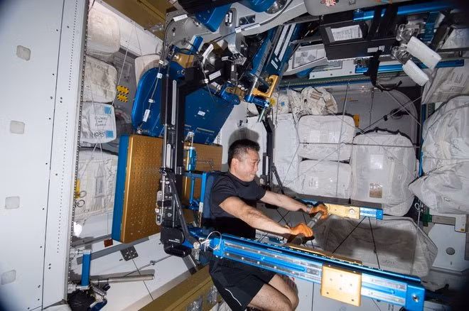 ARED đã sử dụng một xy lanh chân không để mô phỏng lại trọng lượng, giúp các phi hành gia thực hiện các bài tập tạ phát triển cơ ngực, cơ vai và vùng mông đùi.