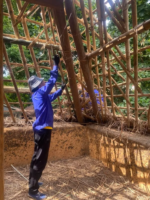 Kiểm tra lại phần mái nhà bị mối mọt.