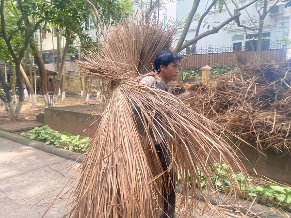 Theo đó, đội thợ sẽ tiến hành tháo dỡ, sửa mái, sàn trần, lợp nhà, vá tường đất và sửa lại hàng rào vườn rau ngôi nhà Hà Nhì giữa lòng Hà Nội…