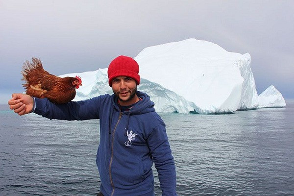 Guirec Soudeé sở hữu một cô gà có tên Monique, ban đầu anh chàng chỉ coi nó là nguồn cung cấp thực phẩm. Tuy nhiên sau một thời gian nuôi dưỡng và chăm sóc, cô gà này đã chứng minh khả năng "hơn cả một con gà".