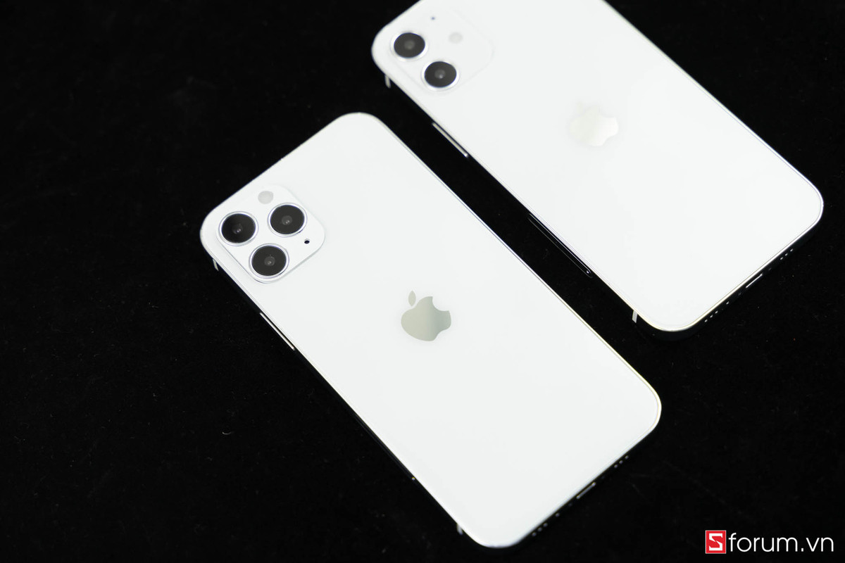 Dễ dàng phân biệt được iPhone 12 Pro và iPhone 12 Max/Plus thông qua cụm camera phía sau cùng màn hình khác biệt.