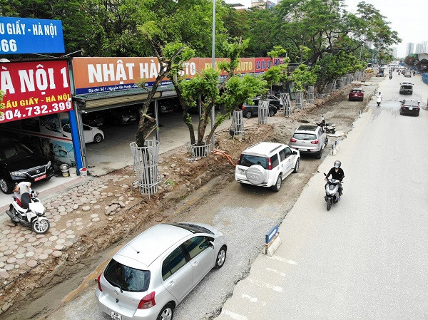 Mới đây, Ban quản lý dự án đầu tư xây dựng công trình giao thông TP. Hà Nội đã cho di dời 34 cây sưa đỏ tại đường Nguyễn Văn Huyên (Cầu Giấy, Hà Nội) sang vị trí khác ở gần đó phục vụ thi công dự án. Ngay sau đó, Ban quản lý lên phương án bảo vệ ngay bởi cây sưa đỏ là một loại gỗ vô cùng quý hiếm và có giá trị.