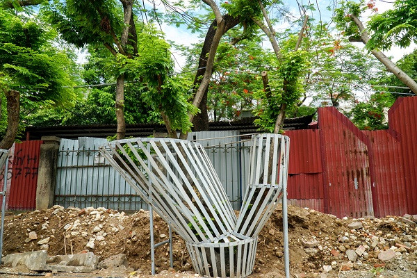 Cây sưa có tên khoa học là Dalbergia tonkinensis prain, chủ yếu phân bố ở Việt Nam và rải rác tại đảo Hải Nam, Trung Quốc. Có hai loại gỗ sưa chính đã được các nhà khoa học phân loại đó là gỗ sưa trắng, và gỗ sưa đỏ hay còn được gọi là cây Trắc thối Giao Chỉ quý hiếm có giá trị kinh tế hơn nhiều so với sưa trắng.