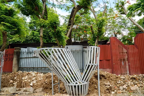 Cây sưa có tên khoa học là Dalbergia tonkinensis prain, chủ yếu phân bố ở Việt Nam và rải rác tại đảo Hải Nam, Trung Quốc. Có hai loại gỗ sưa chính đã được các nhà khoa học phân loại đó là gỗ sưa trắng, và gỗ sưa đỏ hay còn được gọi là cây Trắc thối Giao Chỉ quý hiếm có giá trị kinh tế hơn nhiều so với sưa trắng.