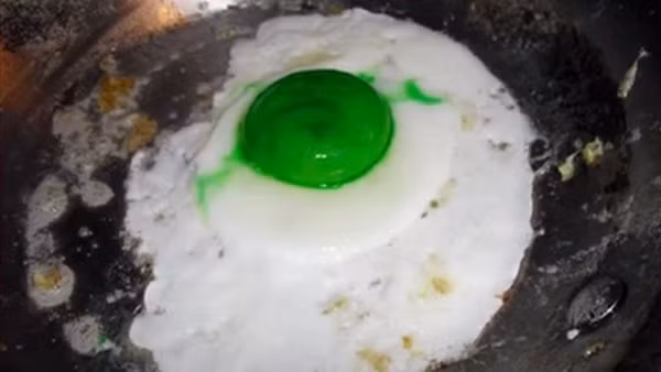 Những quả trứng xanh được cả gia đình Shihabudheen ăn bình thường và không có triệu chứng lạ. Vị của chúng chẳng có gì khác so với những quả trứng gà vỏ trắng lòng đỏ bình thường.