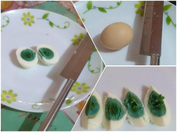 Thoạt nhìn nhiều người bình luận đây chỉ là sản phẩm của photoshop để ''câu like'', hay cho rằng có người rảnh đến mức bơm phẩm màu vào quả trứng, khiến nó có màu xanh độc đáo đến vậy.