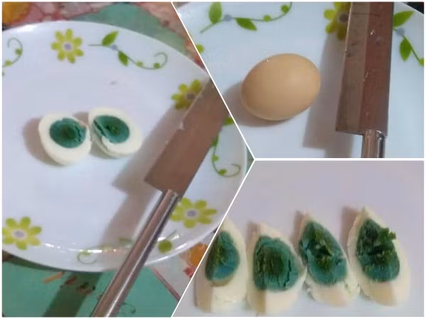 Thoạt nhìn nhiều người bình luận đây chỉ là sản phẩm của photoshop để ''câu like'', hay cho rằng có người rảnh đến mức bơm phẩm màu vào quả trứng, khiến nó có màu xanh độc đáo đến vậy.