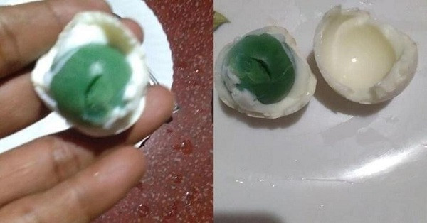 Shihabudheen cho biết gia đình anh chỉ cho gà ăn gạo, bánh có nguồn gốc từ dầu dừa chứ không có chất kích thích hay loại đồ ăn lạ nào.