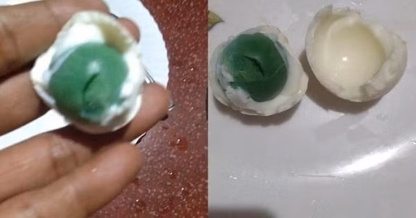 Shihabudheen cho biết gia đình anh chỉ cho gà ăn gạo, bánh có nguồn gốc từ dầu dừa chứ không có chất kích thích hay loại đồ ăn lạ nào.