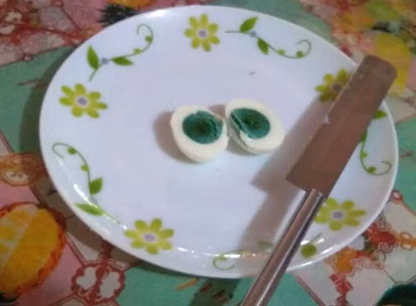 Anh nông dân chia sẻ: "9 tháng trước, lần đầu tiên tôi phát hiện quả trứng có lòng đỏ chuyển màu xanh, quá ngạc nhiên chúng tôi quyết định giữ lại chứ không đem bán. Trứng vẫn nở được thành con và kỳ lạ là một vài con trong số đó trưởng thành cũng đẻ ra những quả trứng màu xanh".