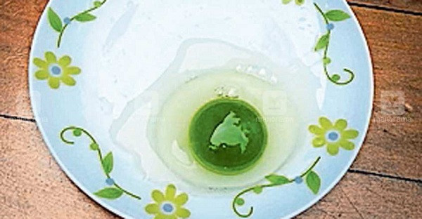 Các chuyên gia từ Đại học Khoa học Thú y và Động vật Kerala, đã đến trang trại của Shihabudheen để chứng kiến những con gà đẻ trứng lạ và lấy mẫu về phân tích trong phòng thí nghiệm. Họ cho rằng nguyên nhân có khả năng xuất phát từ thức ăn cho gia cầm.