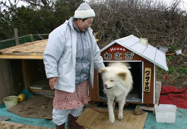 Trước khi trở thành một chú chó nổi tiếng, Wasao đã từng trải qua những ngày tháng sống không yên bình. Năm 2007, chú chó nhỏ lông dài được tìm thấy trong tình trạng ốm yếu, bị bỏ rơi tại thị trấn Ajigasawa, tỉnh Aomori.