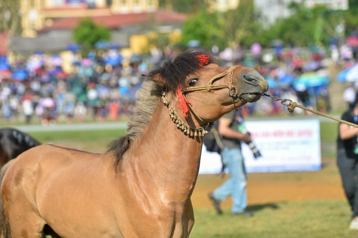 Tôi biết là mình cute rồi.