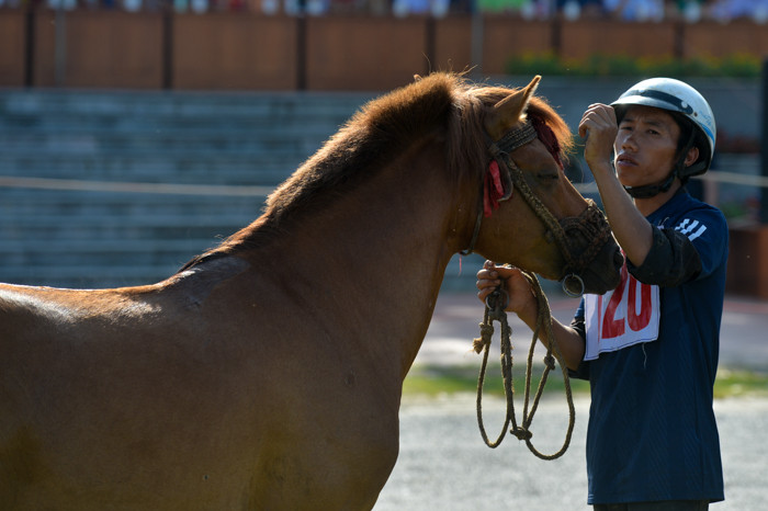 Chú ngựa thể hiện một khuôn mặt rất "phê" khi được chủ chải chuốt lại mái bờm.