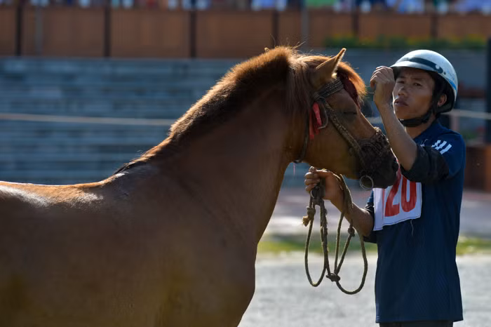 Chú ngựa thể hiện một khuôn mặt rất "phê" khi được chủ chải chuốt lại mái bờm.
