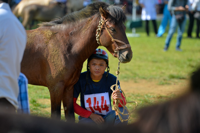 Biểu cảm chán đời của chú ngựa khi bị chủ tận dụng để che nắng.