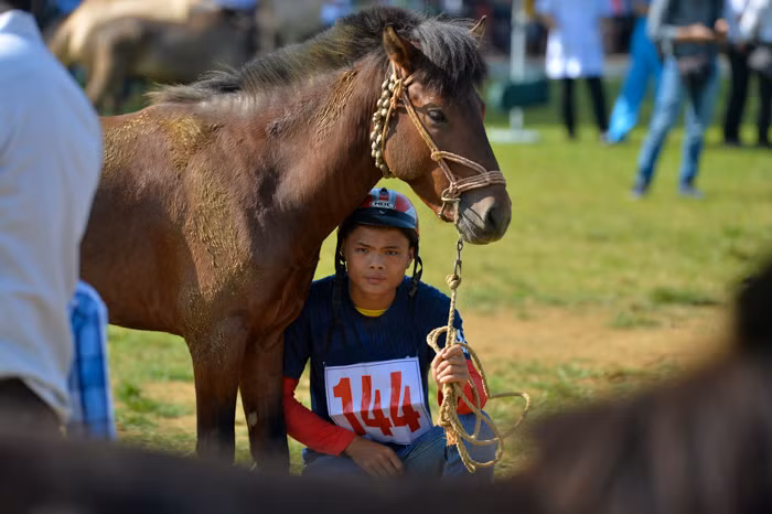 Biểu cảm chán đời của chú ngựa khi bị chủ tận dụng để che nắng.