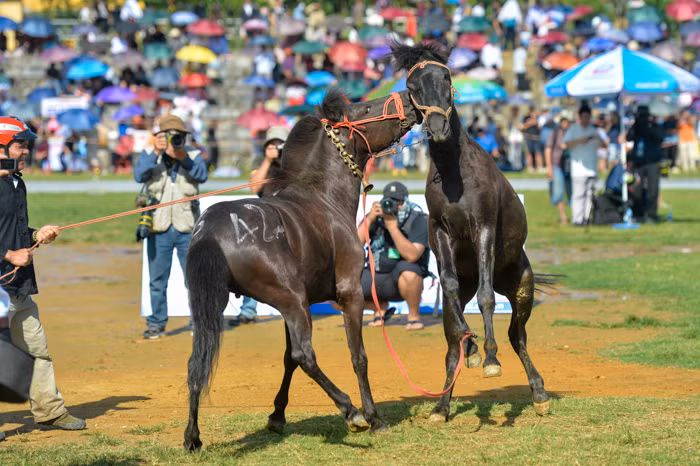 Thơm nhẹ một cái này.
