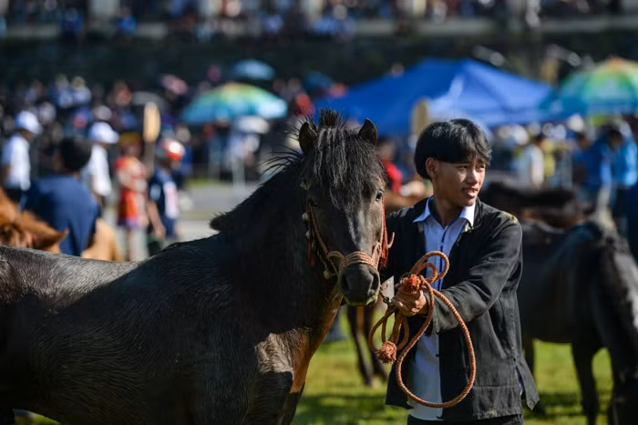Người ta lại chụp ảnh kìa anh.