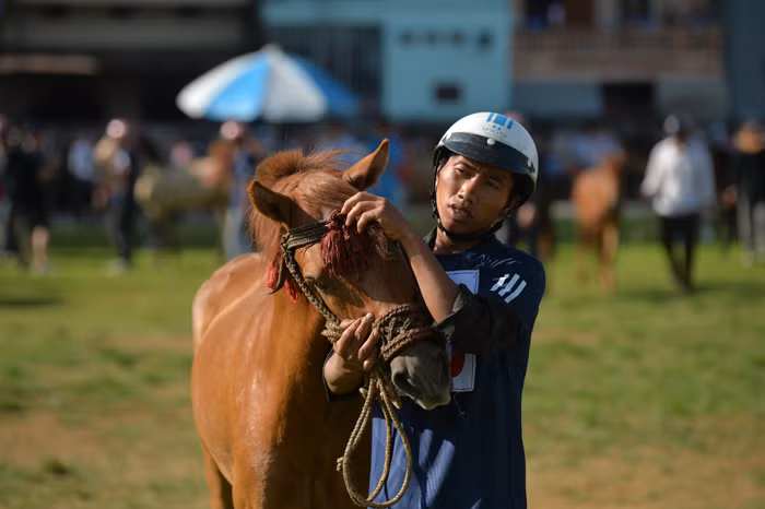 Nũng nịu một tí coi sao.