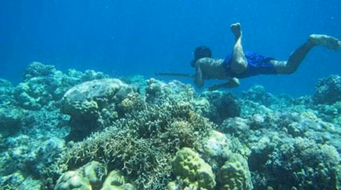 Trải qua hàng nghìn năm, dưới tác động của môi trường sống, con người mới bắt đầu có dấu hiệu của sự tiến hoá mới.