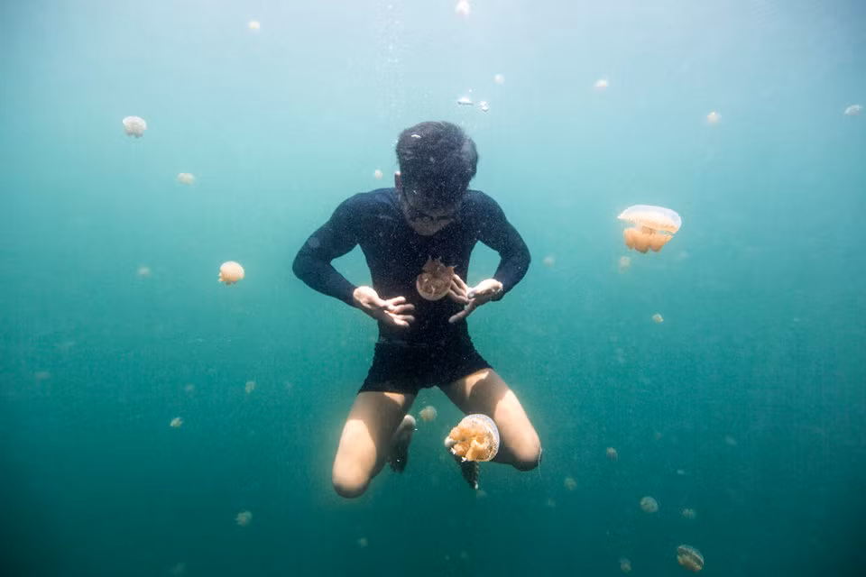 Đây là một trường hợp kỳ diệu về cách con người thích nghi với môi trường xung quanh, nhưng hiện tượng này cũng có thể thu hút nhiều mối quan tâm từ giới y học