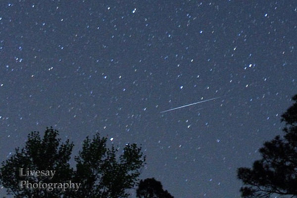 Thời điểm mưa sao băng năm nay trùng với ngày đầu tháng âm lịch nên việc quan sát không bị ảnh hưởng bởi ánh sáng của Mặt Trăng.