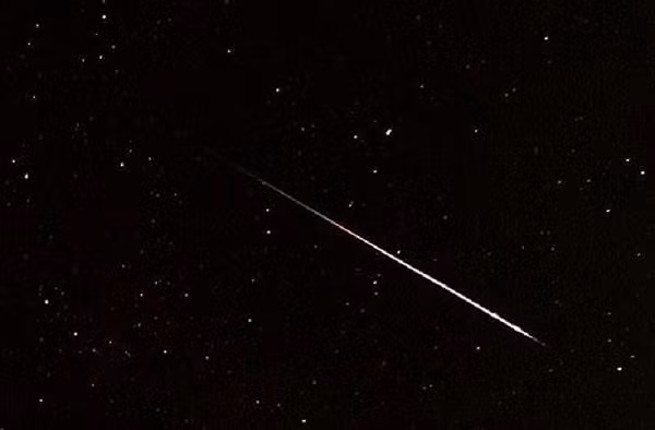 Mưa sao băng Thiên Cầm thường đạt 20 sao băng một giờ tại thời điểm cực đại. Tuy nhiên, trận mưa sao băng này có thể xuất hiện những vệt băng sáng dài, có đuôi rất đẹp trong vài giây.