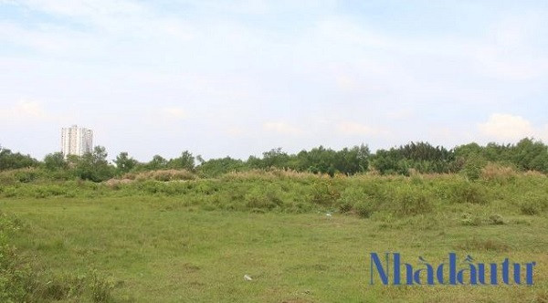 Khu đất Phước Kiển hơn 32 ha được Công ty Tân Thuận chuyển nhượng cho Quốc Cường Gia Lai tọa lạc tại ấp 5, xã Phước Kiển, huyện Nhà Bè, TP.HCM. Ảnh: Chu Ký.