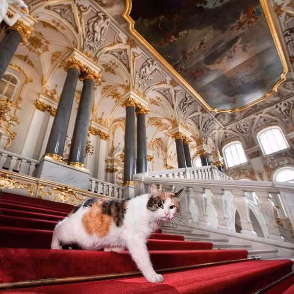 Đó cũng là lý do vào năm 1745, Nữ hoàng Elizaveta đã ra lệnh “tuyển dụng” nhân viên trông giữ các tác phẩm nghệ thuật. Và thật bất ngờ khi đó là những ''bảo vệ bốn chân'' vô cùng đáng yêu.