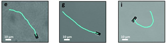 Mặc dù động cơ này chưa được "lắp đặt" trên con thuyền Benchy, nhưng về mặt lý thuyết, các nhà khoa học đã có thể chứng minh rằng nó sẽ giúp thuyền của mình bơi được. Nhóm nghiên cứu đã chế tạo ra các vật thể hình cầu và hình xoắn ốc, phủ platin lên chúng và thả vào nước pha 10% hydrogen peroxide, kết quả là chúng đã di chuyển theo những con đường rất đặc biệt: