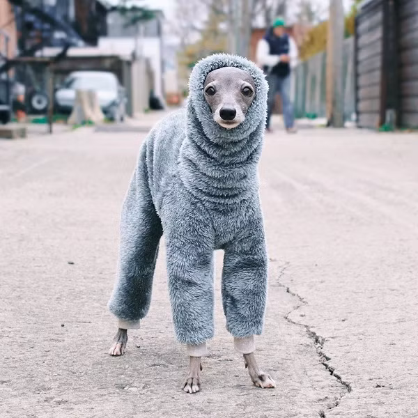 Shapiro thường gọi quần áo của Tika là "haute couture athleisure", hoàn toàn được lấy cảm hứng từ các ngôi sao nổi tiếng thế giới. Tika có thể diện tất cả loại trang phục nhưng món đồ yêu thích nhất là chiếc áo lông cừu có mũ trùm đầu hoặc bộ đồ có lông giả màu hồng nhạt.