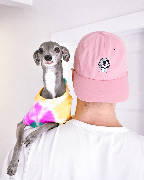 "Chúng tôi luôn tìm kiếm những xu hướng mới để Tika được tiếp cận và muốn mọi người đoán xem nó sẽ mặc gì tiếp theo. Nhiều người tìm đến Tika vì nó dễ thương, có gu thời trang nổi bật", Shapiro nói thêm.