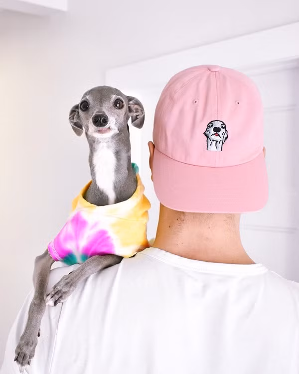 "Chúng tôi luôn tìm kiếm những xu hướng mới để Tika được tiếp cận và muốn mọi người đoán xem nó sẽ mặc gì tiếp theo. Nhiều người tìm đến Tika vì nó dễ thương, có gu thời trang nổi bật", Shapiro nói thêm.