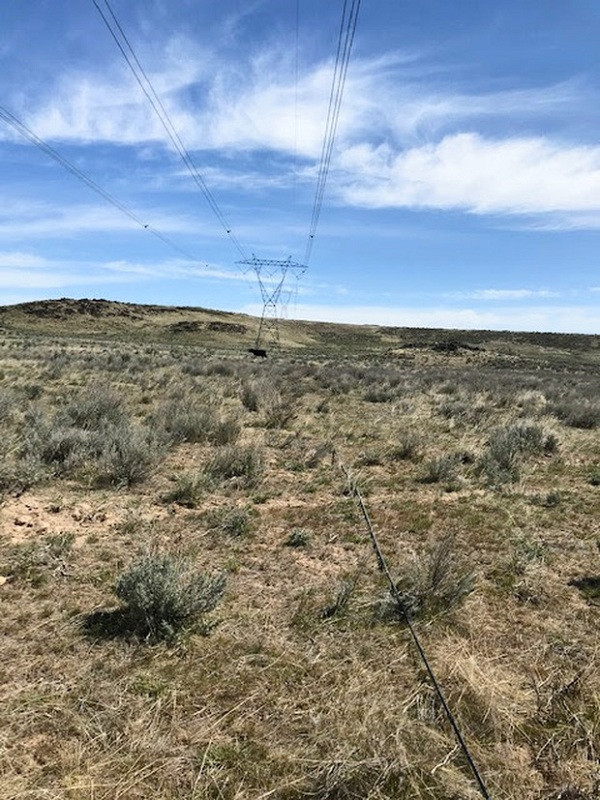 Và thủ phạm dẫn đến sự cố cáp quang của Google mà chẳng ai có thể ngờ tới chính là những...con bò. Câu chuyện tưởng đùa hóa ra lại thật này mới đây được chính Phó chủ tịch phụ trách kỹ thuật hạ tầng của Google, ông Urs Hölzle, tiết lộ trên trang Twitter cá nhân của mình.