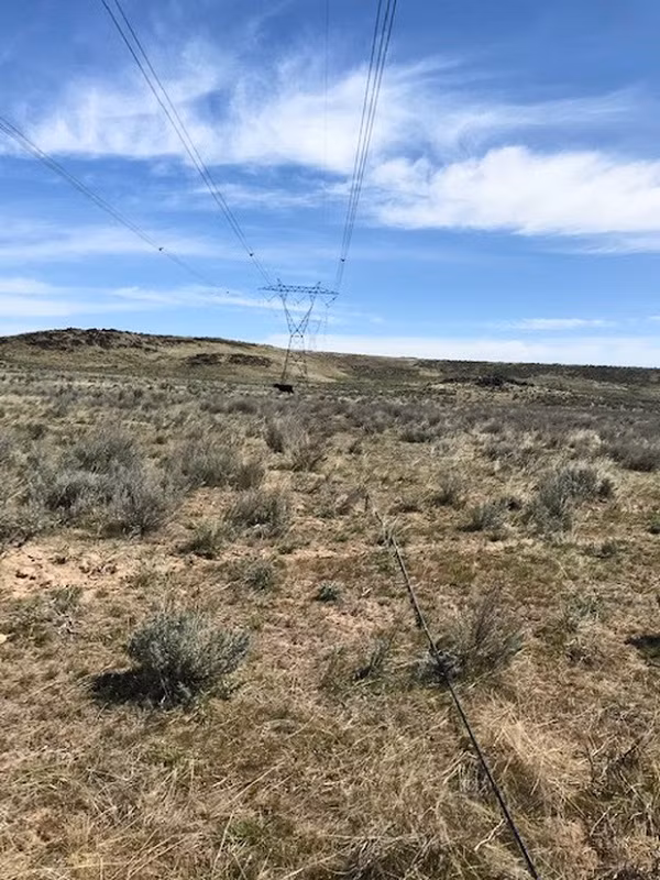 Và thủ phạm dẫn đến sự cố cáp quang của Google mà chẳng ai có thể ngờ tới chính là những...con bò. Câu chuyện tưởng đùa hóa ra lại thật này mới đây được chính Phó chủ tịch phụ trách kỹ thuật hạ tầng của Google, ông Urs Hölzle, tiết lộ trên trang Twitter cá nhân của mình.