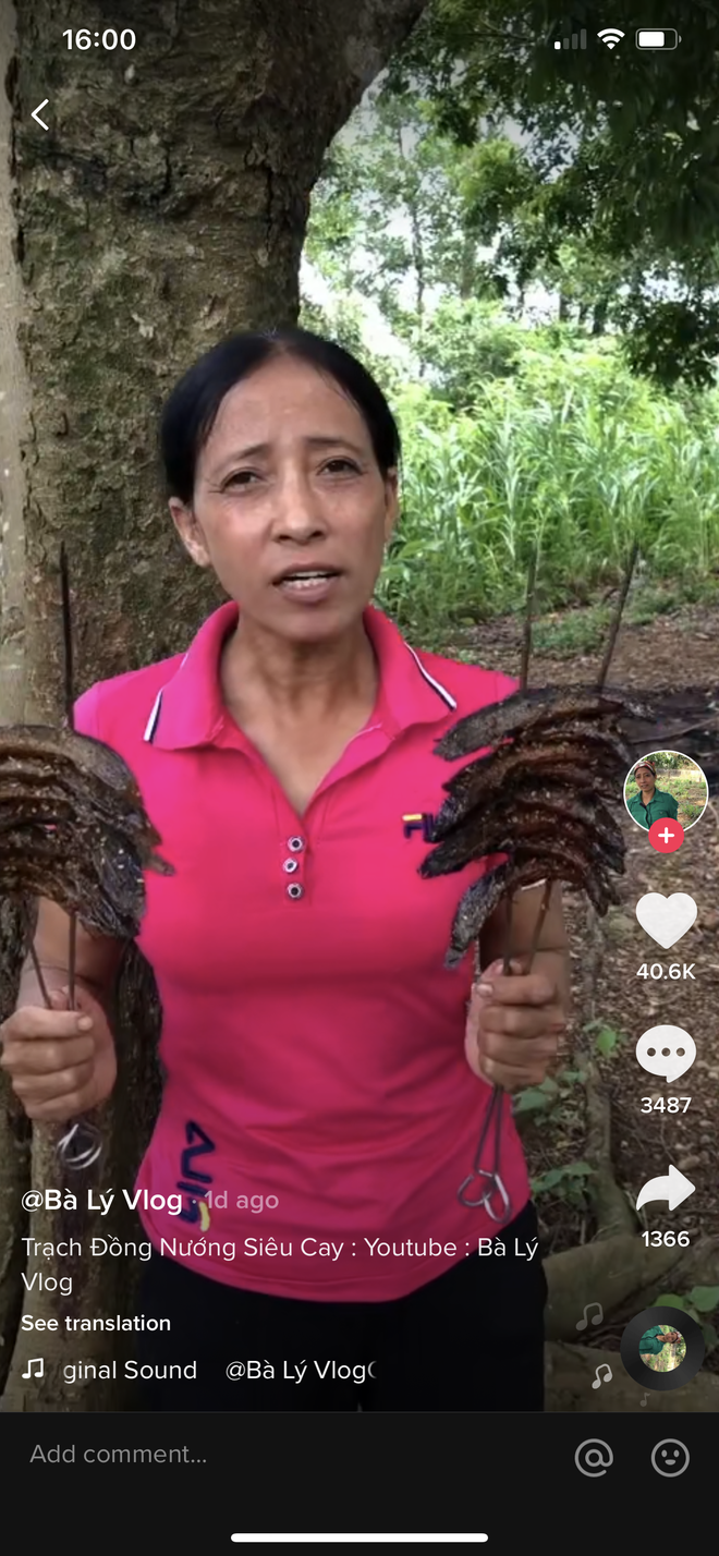 Dù Bà Lý Vlog chỉ làm những món ăn đồng quê không theo kích cỡ nào thế nhưng dân mạng vẫn cho rằng đây là kênh "y sao bản chính" của Bà Tân Vlog.