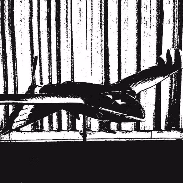 Dự án Aquiline: Dự án này dùng máy bay không người lái với sải cánh dài 10 feet được ngụy trang thành đại bàng. Nó được cho là có thể bay 1000 dặm đến Liên Xô để thu thập tin tình báo, nhưng Adkins nói rằng có rất nhiều vấn đề về việc lái tự động. Chi phí chồng chất và tai nạn nghiêm trọng là nguyên nhân dẫn đến việc hủy bỏ dự án này.