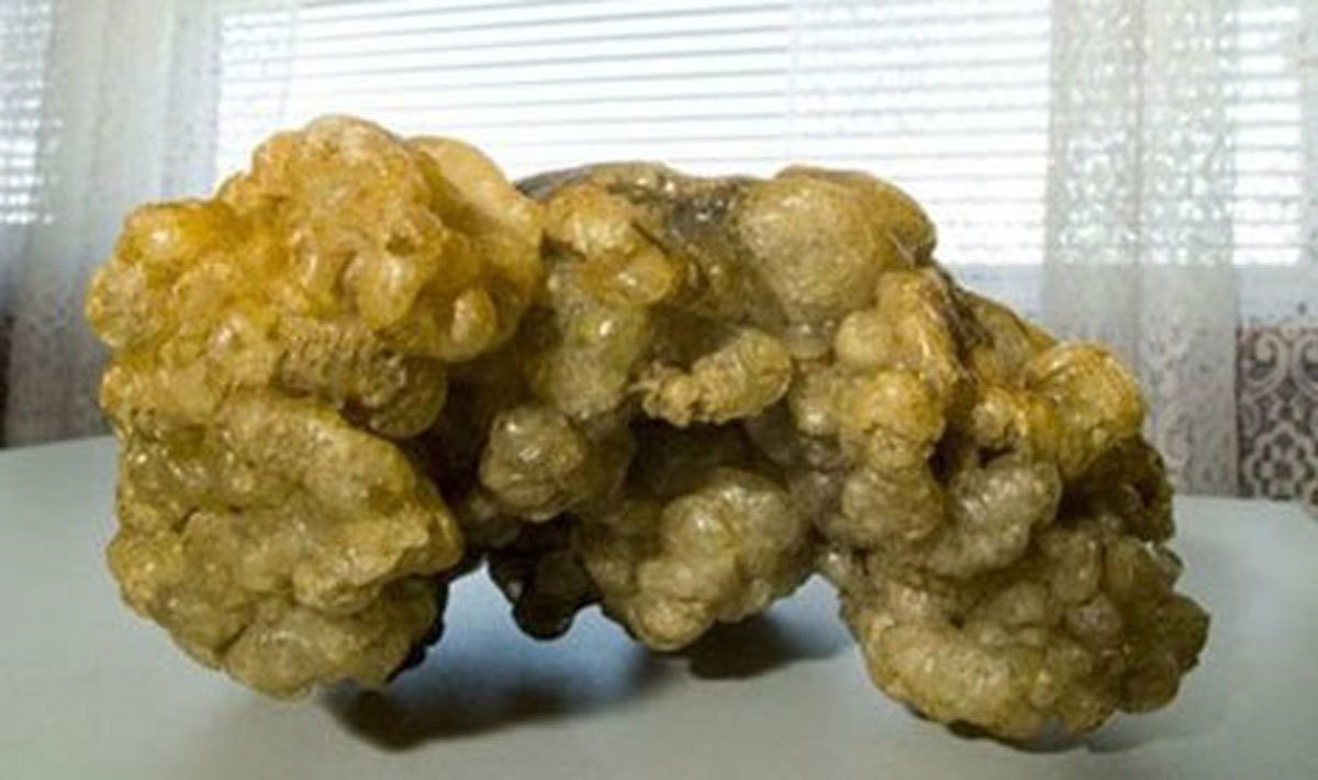 Khi quá trình oxy hóa làm nước và không khí bốc hơi khỏi khối chất bài tiết, long diên hương tiết ra mùi tương tự như thuốc lá hoặc lớp phủ bên ngoài cây. Thời gian diễn ra quá trình oxy hóa quyết định chất lượng và giá trị của long diên hương. Quá trình này diễn ra trong thời gian rất dài và lượng sản sinh ra tỷ lệ long diên hương cũng rất ít.