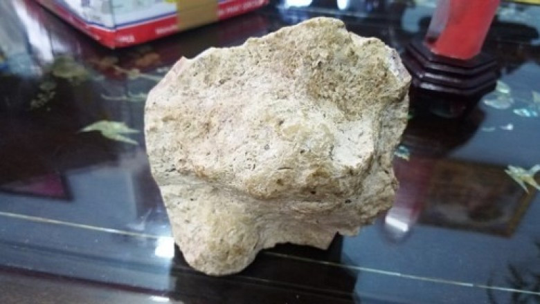 Long diên hương được mệnh danh là "báu vật của biển". Đây thực chất là một chất sáp được tạo ra từ hệ tiêu hóa của cá nhà táng. Sau khi cá thải ra biển, những tảng long diên hương có thể trải qua hàng nghìn năm nằm trong lòng biển sâu hoặc trôi dạt vào bờ biển.