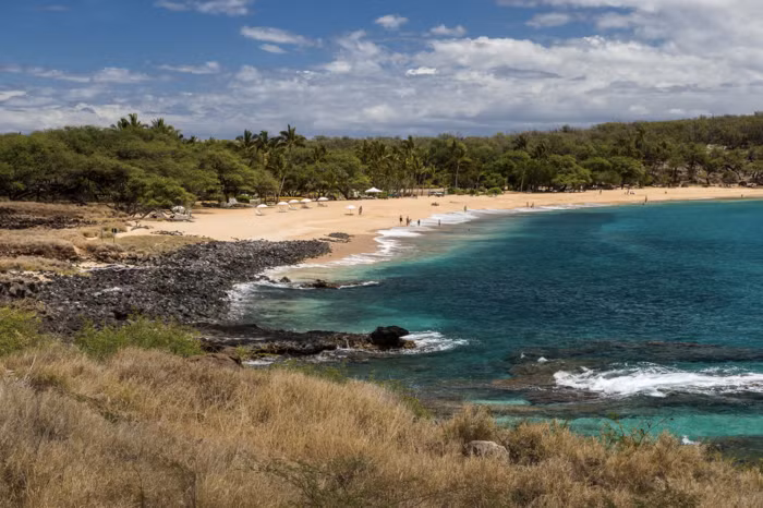 Vị tỷ phú này có kế hoạch sử dụng hòn đảo để thử nghiệm các công nghệ hoạt động thân thiện với môi trường như năng lượng mặt trời và xe điện.