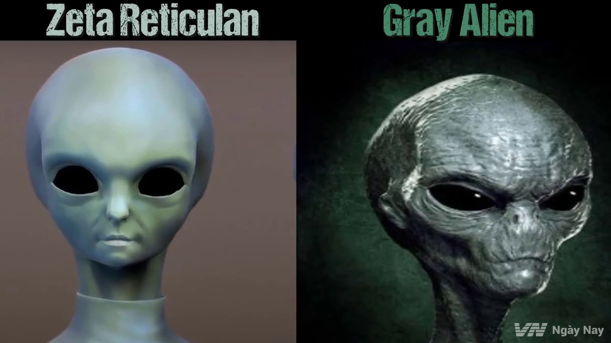 Đầu của họ lớn hơn nhiều so với đầu người bình thường và họ không có mũi, mà chỉ có lỗ mũi. Cánh tay của họ thường dài hơn cánh tay con người và chỉ có 3 hoặc 4 ngón tay. Họ được cho là thủ phạm chính đằng sau hầu hết các vụ bắt cóc của con người.