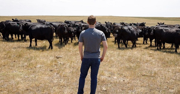 Thực tế, sở thích săn bắt của Mark là hoàn toàn hợp pháp. Bởi theo tổ chức National Wild Pig Task Force, lợn rừng là loài động vật có số lượng rất lớn ở một số vùng của Mỹ.