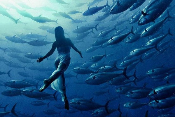 Vận động viên bơi lội Nhật Bản bên đàn cá khổng lồ dưới đại dương.