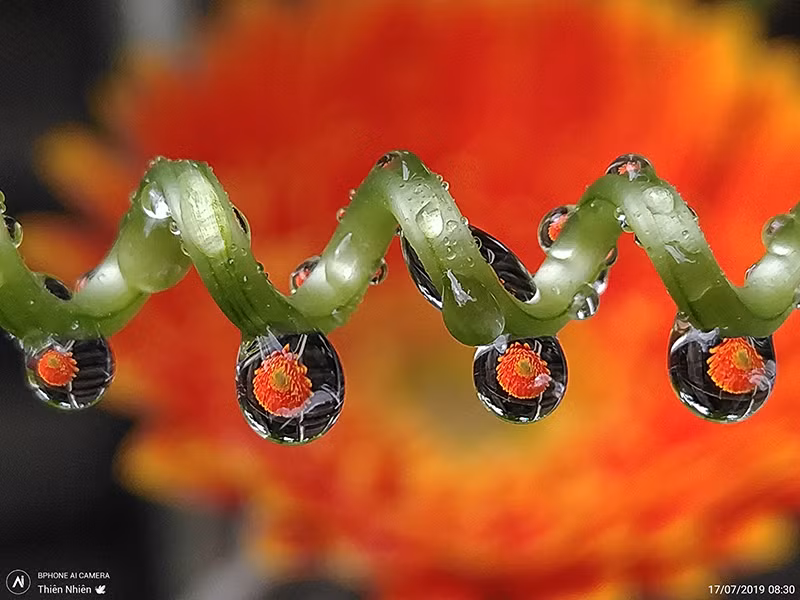 Một trong những tác giả của giải thưởng do nhóm mobile photography thế giới vinh danh với tên nick là Thiên Nhiên. Bức ảnh chụp phản chiếu hình đoá hoa trong bóng nước tạo ra góc nhìn khác biệt và khéo léo.