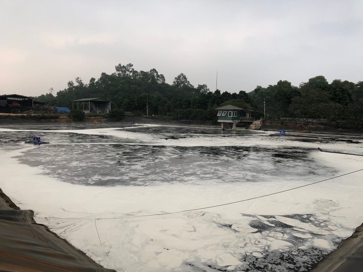 Sau khi hệ thống máy nano hoạt động, từng đợt bọt khí phun ra liên tục trắng xóa cả bề mặt hồ chứa nước rỉ rác.