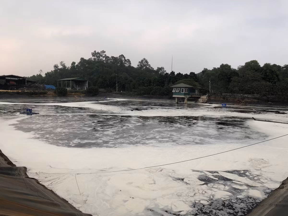 Sau khi hệ thống máy nano hoạt động, từng đợt bọt khí phun ra liên tục trắng xóa cả bề mặt hồ chứa nước rỉ rác.